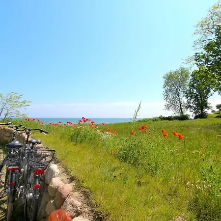 Apartmán Strandresort Rex Rugia Ferienwohnung 11-5 Mit Sauna- Und Schwimmbadnutzung Im Ahoi Sellin *