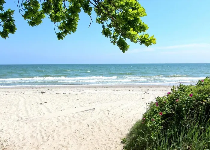 Rex Rugia 11-5 Mit Sauna- Und Schwimmbadnutzung Im Ahoi Sellin * Lobbe